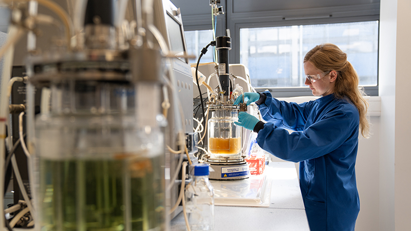 The labs at the University of Nottingham (Credit: University of Nottingham)